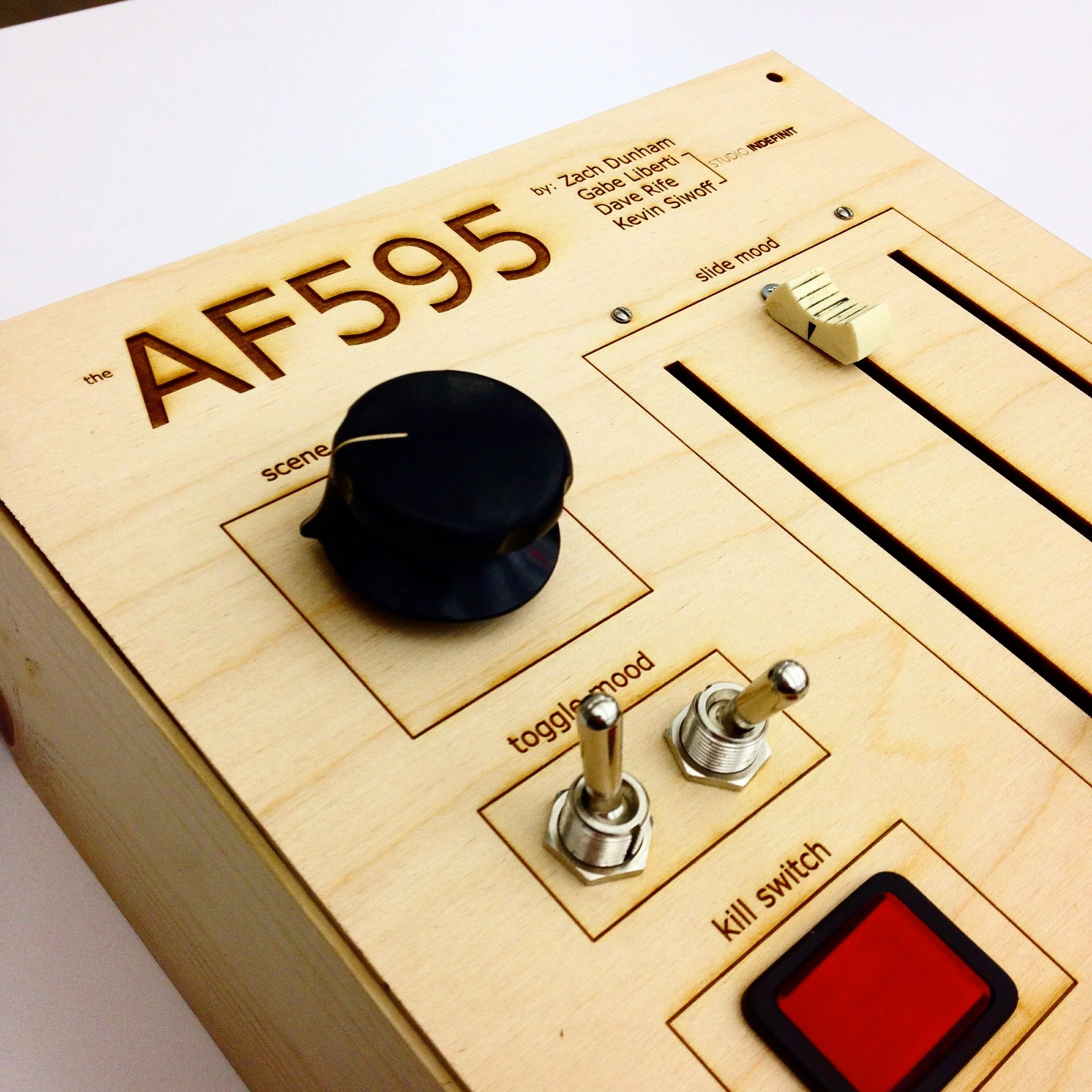 AF595_Control.jpeg